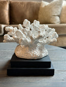 Wit koraal takken ornament – 16x17x20 cm