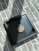 Fotolijst met fossiele schelp – zwart hout – 25x25 cm