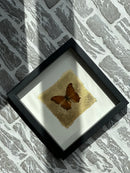 Fotolijst met oranje vlinder en bladgoud – zwart hout – 25x25 cm