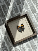 Fotolijst met zwart/oranje vlinder – donkerbruin hout – 25x25 cm