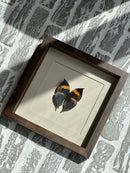 Fotolijst met zwart/oranje vlinder – donkerbruin hout – 25x25 cm