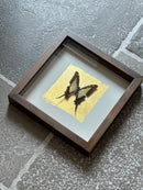 Fotolijst met geel/zwarte vlinder en bladgoud – donkerbruin hout – 25x25 cm