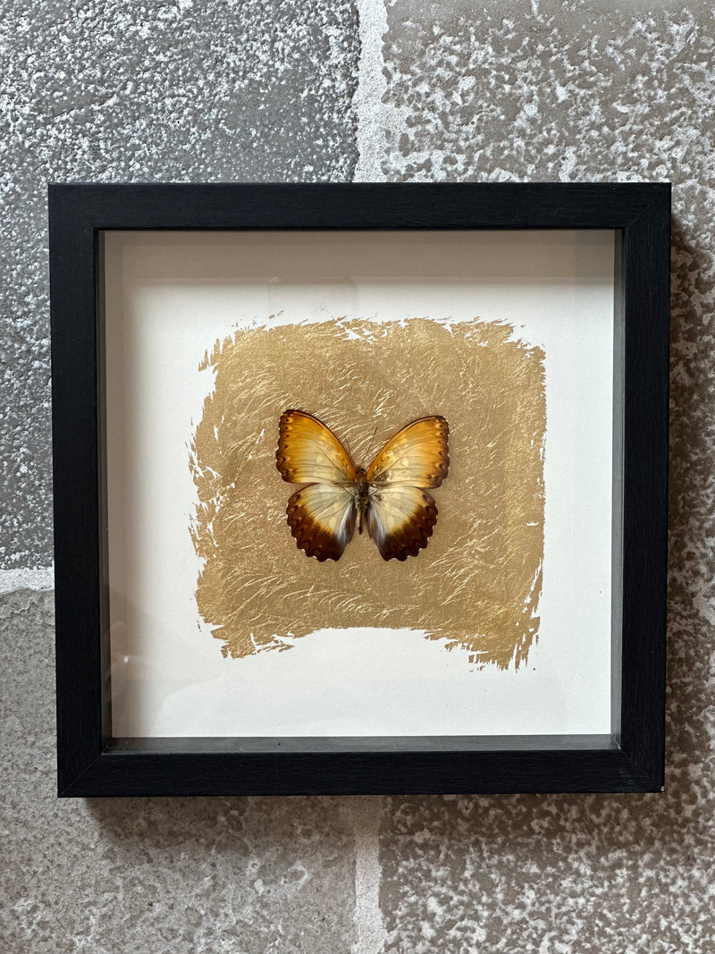 Fotolijst met oranje/bruine vlinder en bladgoud – zwart hout – 25x25 cm