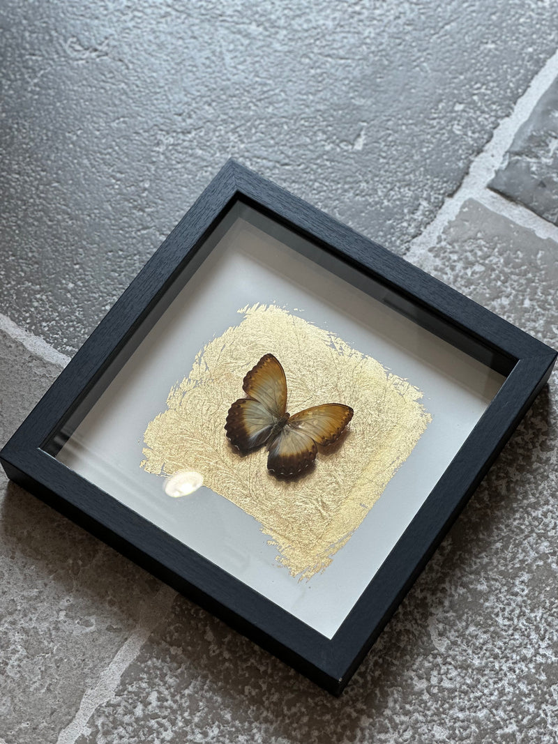 Fotolijst met oranje/bruine vlinder en bladgoud – zwart hout – 25x25 cm