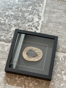 Fotolijst met fossiel zeediertje – zwart hout – 25x25 cm