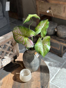 Salontafel houtblok op wieltjes