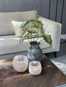 Kunsttak Alocasia met groen en roze details 53 cm