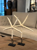 Witte zeester op statief - 32x24 cm