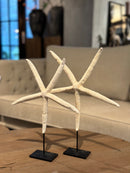 Witte zeester op statief - 32x24 cm