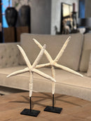 Witte zeester op statief - 32x24 cm