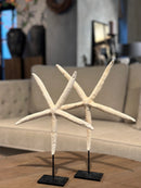 Witte zeester op statief - 32x24 cm