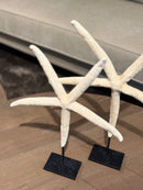 Witte zeester op statief - 32x24 cm