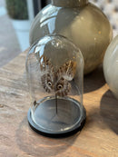 Vlinderstolp met bruine uilenoog vlinder - 23x16 cm