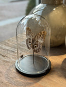 Vlinderstolp met bruine uilenoog vlinder - 23x16 cm