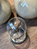 Vlinderstolp met bruine uilenoog vlinder - 23x16 cm