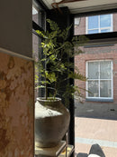 Kunstplant Venushaarvaren Cuba - 140 cm