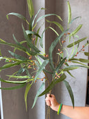 Kunsttak Eucalyptus met besjes - 100 cm