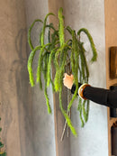 Kunsttak met hangende Dennentakjes – 130 cm