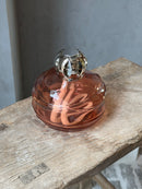 Lampe Berger Paris geurbrander Echo Rose Amber - Giftset inclusief 250 ml parfum