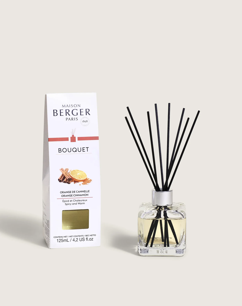 Lampe Berger Parfumverspreider Cube - Orange Cinnamon / Orange Canelle