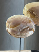 Oesterschelp met parels op statief - H19 x B14 cm