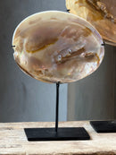 Oesterschelp met parels op statief - H19 x B14 cm