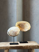 Oesterschelp met parels op statief - H19 x B14 cm