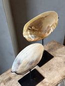 Oesterschelp met parels op statief - H19 x B14 cm