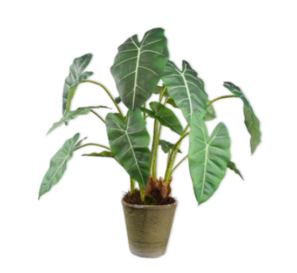 Groene Alocasia kunstplant 81 cm