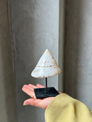 Witte puntschelp