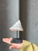 Witte puntschelp op statief