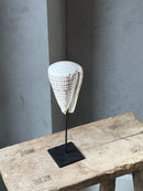 Witte schelp op statief - H27 cm
