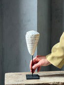 Witte schelp op statief - H27 cm