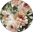 Vloerkleed Anaheim 3434