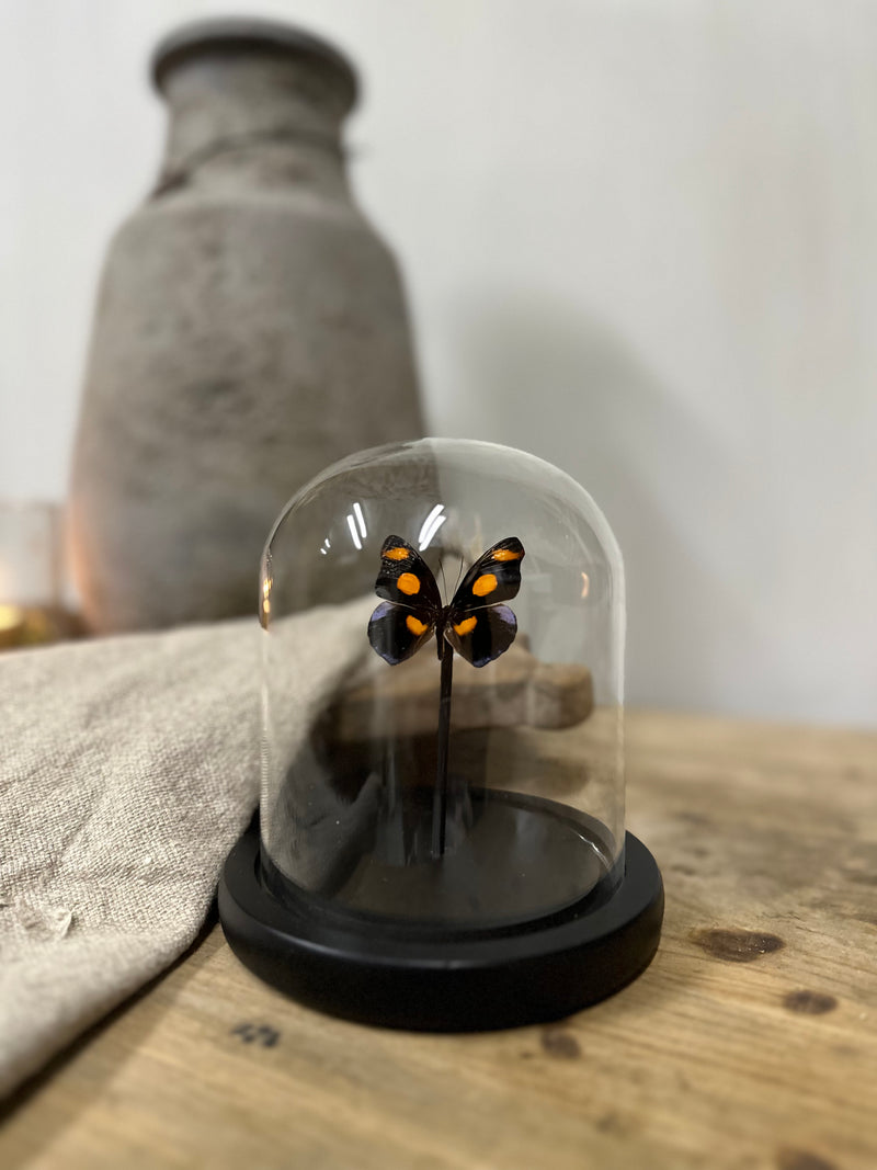 Stolp met een unieke vlinder