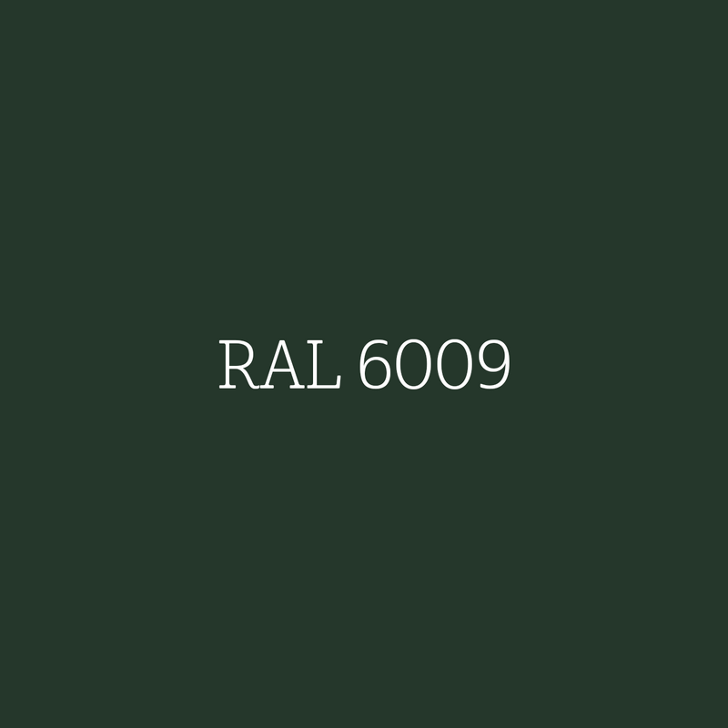 RAL 6009 Fir Green - zijdematte lakverf Mia Colore